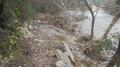 Fin de sentier et déchets boisés de la tempête Alex.