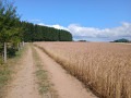Boucle depuis Naomé via Baimont, Francs-Bois, Roda et Perlefontaine
