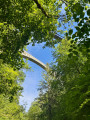 Fin du sentier