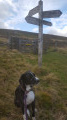 Windy Gyle from Coquet Valley