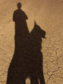 Finodog