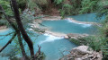 Fiume Elsa dans le Parco fluviale dell'alta Val D'Elsa
