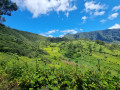 La croix glorieuse du Piton des Songes