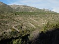 Flanc de coteau