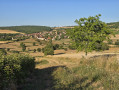 Saules - Rimont - Saules Saules - Rimont - Saules