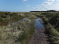 Floods on the coast path