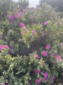 Autour de Vigne Gaste