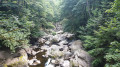 Flussbett der Alb