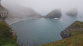 Foggy Porth-Cadjack Cove