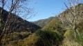 Fond de la vallée du ruisseau de Sauzet