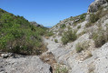Fond du Vallon de l'Amandier