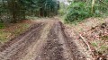 Fondrières laissées par les débardeurs.