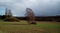 Petite boucle dans la Plaine de Versailles