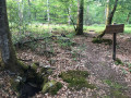 Chemins et sentiers de la Forêt de Tronçais à Meaulne-Vitray