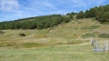 Font de l'Arrel