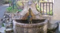Fontaine aux fougères