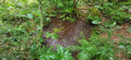 Fontaine de la Grande Lande de R&eacute;d&eacute;n&eacute; (Finist&egrave;re)