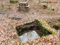 Fontaine du Loup Fontaine du Loup