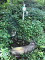 Fontaine du Ribpfaedel