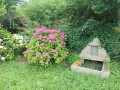 fontaine et hortensias