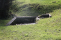 Les Fontaines près de Salignac de Mirambeau