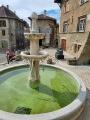 Fontaine place Saint Chef