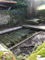 Fontaine