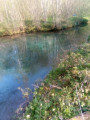 Fontaines Bleues