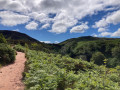 Footpath toward Glen Burn waterfall