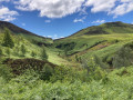 Footpath toward Glen Burn waterfall