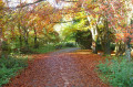 Clement Wilson Park - Belfast