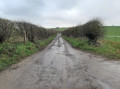 From Lynch Wood to The Folly via Upper Lambourn, Lambourn Valley