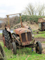 Fordson tractor at Manor Farm, Whatley