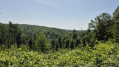 Campingroute Eisenach forest walk Campingroute Eisenach forest walk