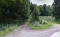 Forêt d'Ecouves