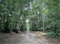 forêt d'eperlecques forêt d'eperlecques