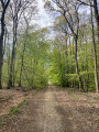 Forêt d'Eperlecques