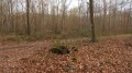Forêt d'Ermenonville Forêt d'Ermenonville