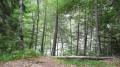Forêt de Boscodon