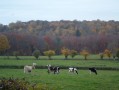 Les hauteurs de Mesnières-en-Bray et la Forêt du Hellet