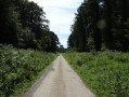 De la forêt de Guines au Lac d'Ardres en longeant les canaux