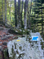 Cirque de Garbettou, Étang du Garbet et Étang Bleu
