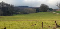 Foret de la cote derrière le moulin