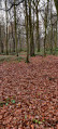 Promenades dans les légendes de la Forêt de Phalempin