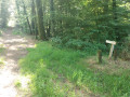 Forêt de Pont Callec et vallée du Scorff