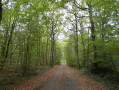 Forêt de Rosny-sur-Seine Forêt de Rosny-sur-Seine