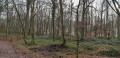 Forêt des Vaux