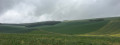 Forêt communale d'Aix-en-Othe