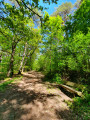 Forêt domaniale de Loches