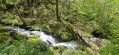 For&ecirc;t domoniale de Fontp&eacute;drousse